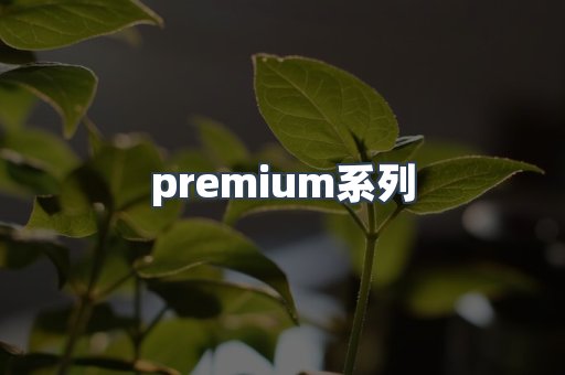 premium系列